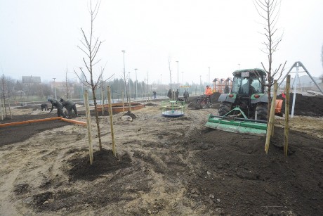 Több ezer tő fás szárú növényt telepít a Városgondnokság az új szabadidőparkba